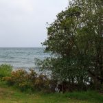 Blick auf den Lake Taupo, Neuseeland