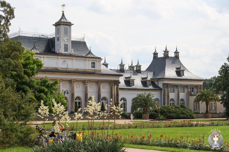Das Bergpalais Pillnitz hinter bluehenden Blumen