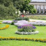 Bluehende Blumen im Schlosspark Pillnitz
