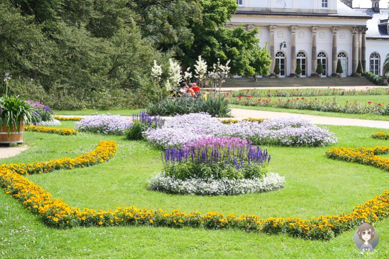 Bluehende Blumen im Schlosspark Pillnitz