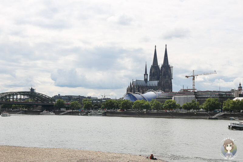 Blick auf den Dom vom Rheinufer Köln