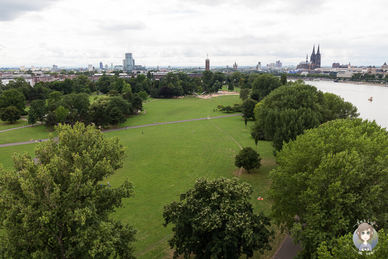 Blick auf den Rheinpark aus der Seilbahn Köln