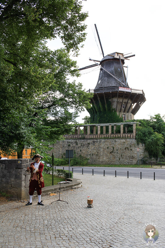 Blick auf die Galerieholländerwindmühle in Potsdam