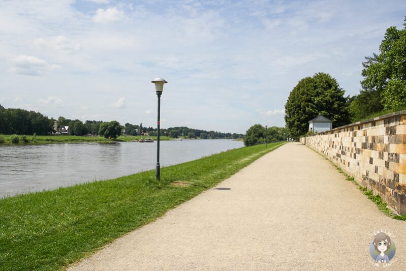 Weg an der Elbe entlang in Dresden