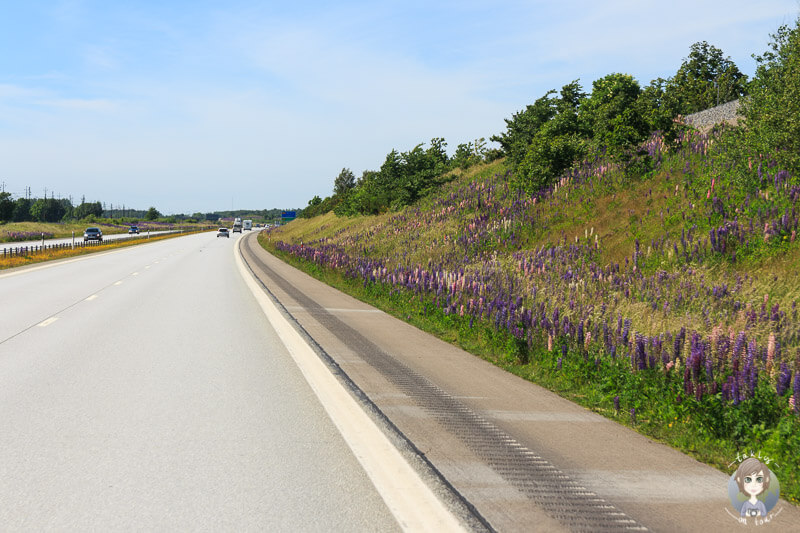 Fahrt über die E6 entlang Schwedens Westküste