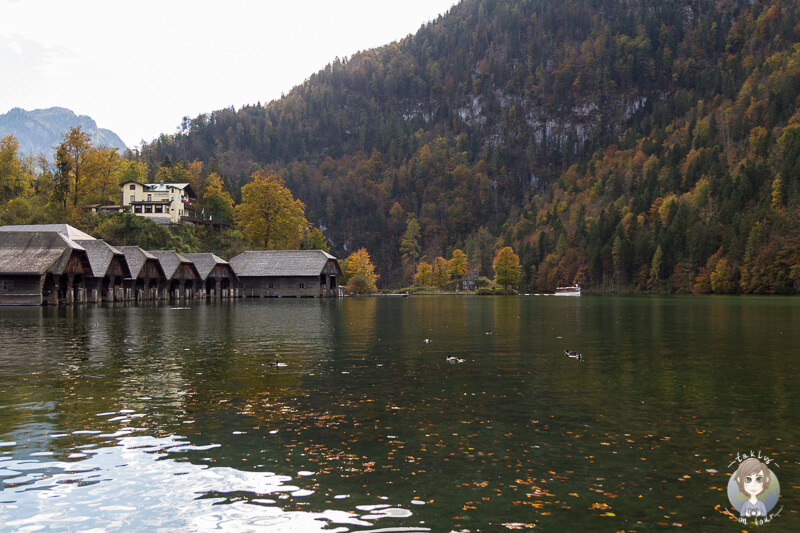 Der Königssee in Bayern