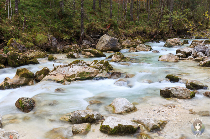 Die Ramsauer Ache im Zauberwald