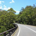 Schöne Natur auf dem Weg zum Booderee-Nationalpark, NSW
