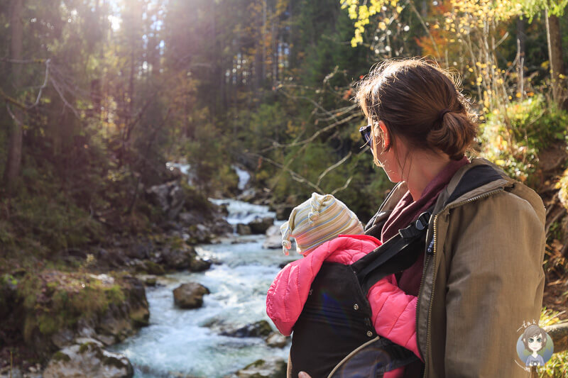 Wandern mit Baby im Zauberwald