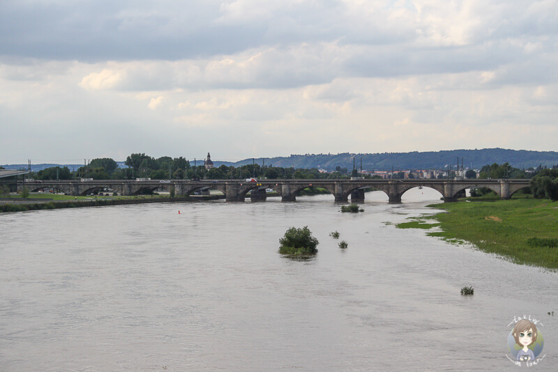 Aussicht auf die Elbe und eine Bruecke im Hintergrund in Dresden