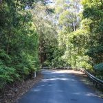 Anfahrt zum Cambewarra Mountain Lookout, NSW