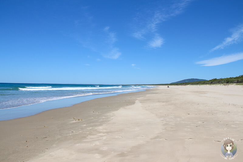 Am Meer im Seven Mile Beach Nationalpark, New South Wales, Australien