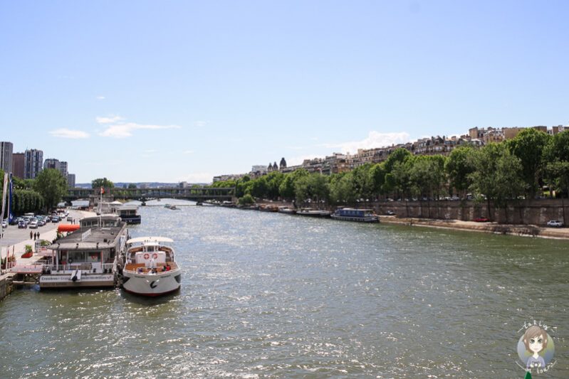 Blick auf den Fluss Seine
