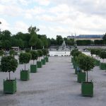 Spaziergang durch den Jardin des Tuileries Paris mit Blick auf den Teich