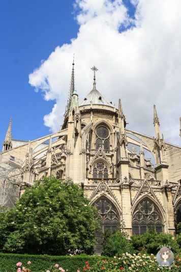 Rueckseite der Kathedrale Notre Dame