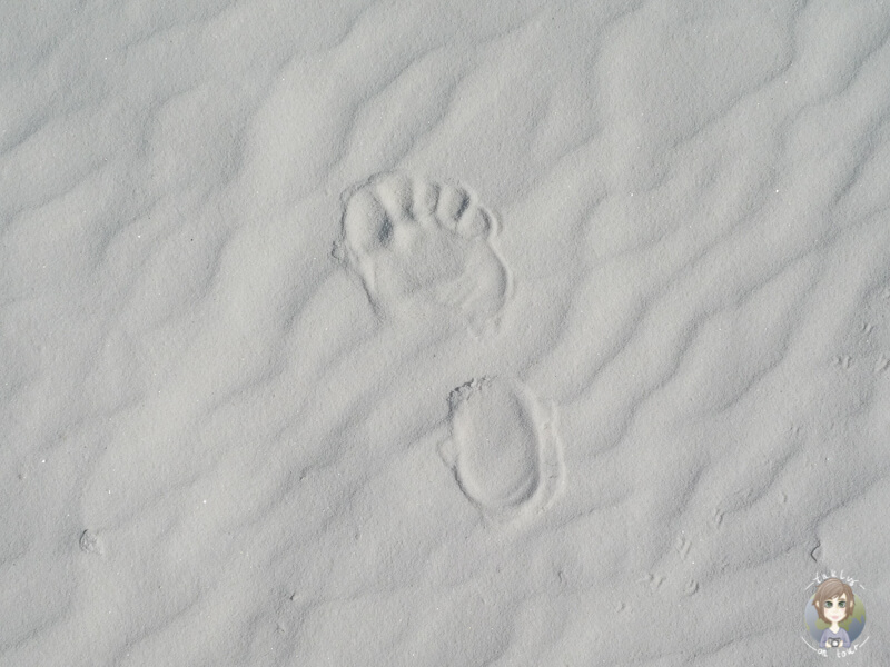 Fussabdruck im Gips vom White Sands National Monument