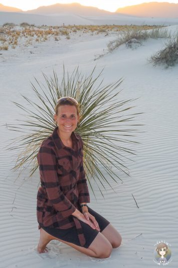 Vor einem Strauch im White Sands National Monument am Abend
