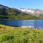 Jedermannsrecht in Norwegen: Alles zum Wildcamping in Norge