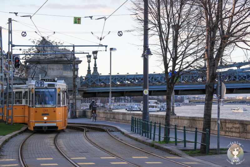 Strassenbahn in Budapest an der Donau