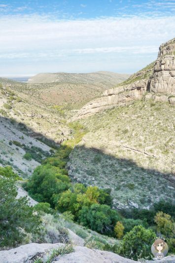Blick in die Schlucht am Lincoln National Forest