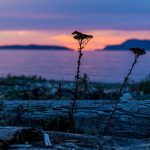 Blick auf einen traumhaften Sonnenuntergang in Kanada