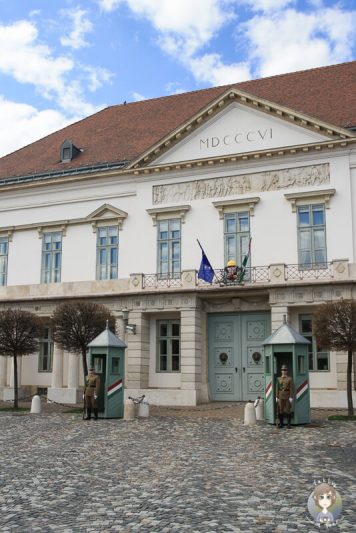 Wachen am Burgpalast in Budapest