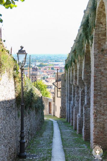 Der Weg zur Burg von Conegliano