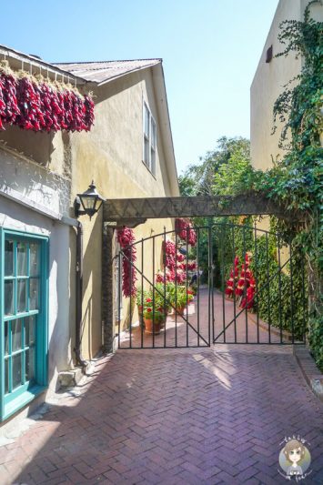 Blick auf ein Haus und eine Gasse mit Chilischoten in Albuquerque