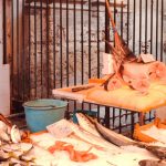 Fisch auf dem Markt von Palermo