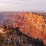 Blick in den Grand Canyon