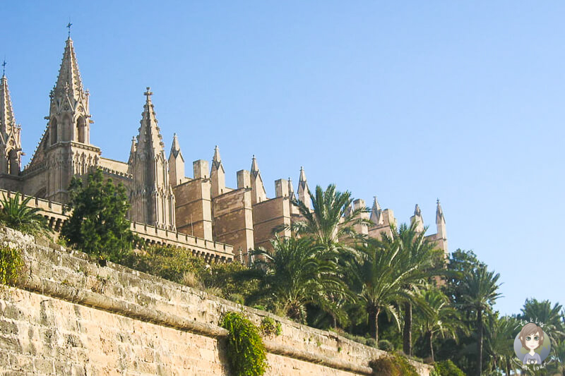 Die Kathedrale La Seu in Palma