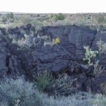 Lavagestein in der Valley of Fires Recreation Area