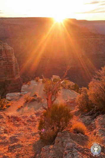 Sonnenuntergang am Grand Canyon in Arizona