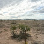 Karge Wueste in New Mexico
