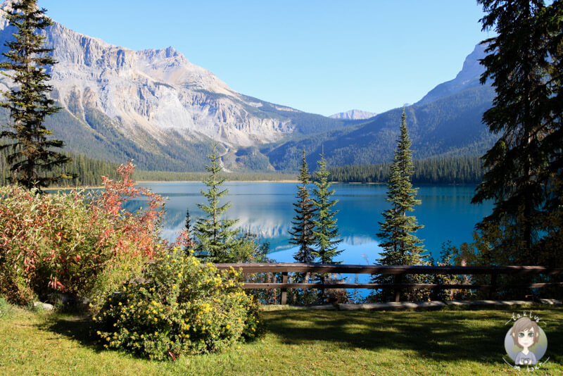 Blick auf den Emerald Lake ein Teil der Uebersicht unserer Kanada Reisen auf dem Blog