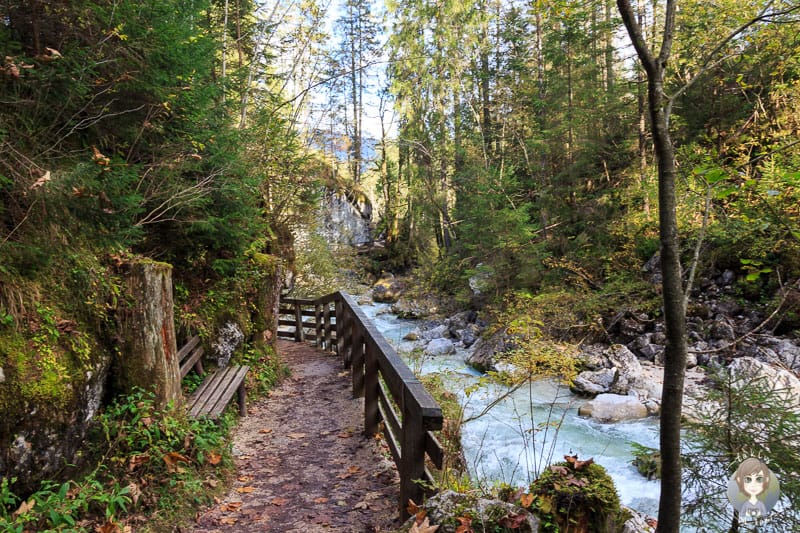 Der Zauberwald bei Ramsau, im Berchtesgadener Nationalpark Deutschland - taklyontour.de