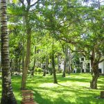 Der schöne Garten der Hotelanlage