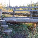 Los geht es über den Erlebnisparcours am Wilden Weg in der Eifel