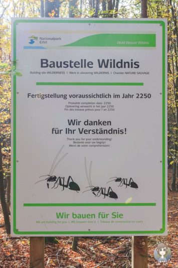 Baustelle Wildnis in der Eifel Schild: ©Nationalpark Eifel