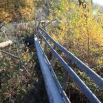 Der Kletterparcours führt teils über schmale Holzstege durch die Eifel