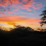 Sonnenaufgang im Tsavo West Nationalpark
