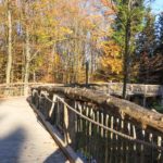 Eine barrierefreie Wanderung in der Eifel