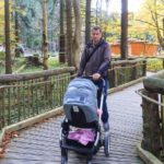 Mit dem Kinderwagen in der Eifel wandern auf dem wilden Weg