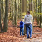 Immer wieder gibt es Informationstafeln auf dem Erlebnispfad Wilder Weg in der Eifel