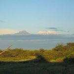 Toller Blick auf den Kilimandscharo am Morgen