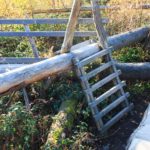 Ein Kletterparcours auf dem Wilden Weg in der Eifel