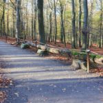 Eine Station vom Wilden Weg in der Eifel