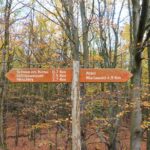 Ein Wegweiser zeigt den Weg am Wilden Kermeter