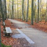 Schöne Wanderung in der Eifel am Wilden Kermeter