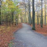 Herbstlicher Spaziergang durch den Wald am wilden Kermeter